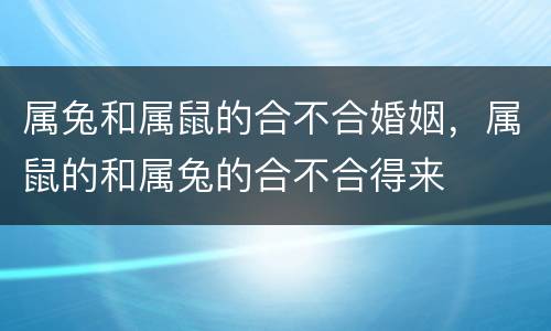 属兔和属鼠的合不合婚姻，属鼠的和属兔的合不合得来