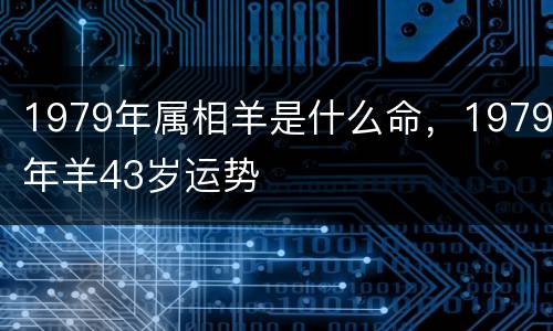 1979年属相羊是什么命，1979年羊43岁运势