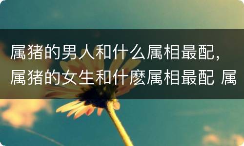 属猪的男人和什么属相最配，属猪的女生和什麽属相最配 属猪婚配