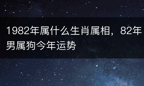 1982年属什么生肖属相，82年男属狗今年运势