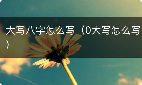 大写八字怎么写（0大写怎么写）