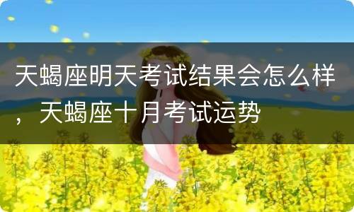 天蝎座明天考试结果会怎么样，天蝎座十月考试运势