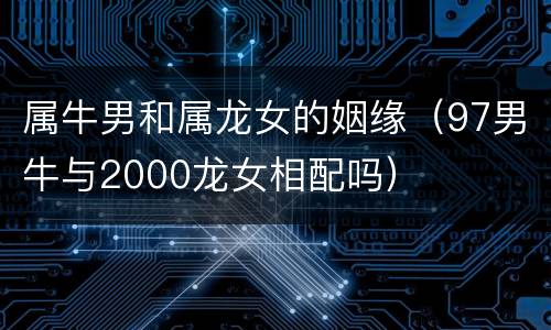 属牛男和属龙女的姻缘（97男牛与2000龙女相配吗）