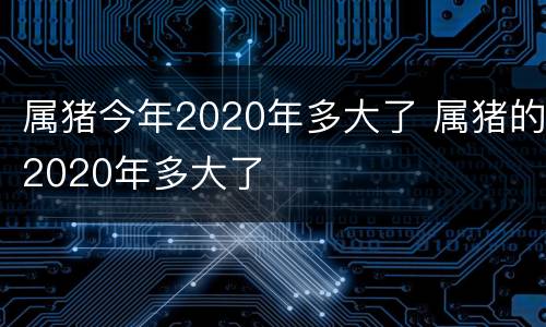 属猪今年2020年多大了 属猪的2020年多大了