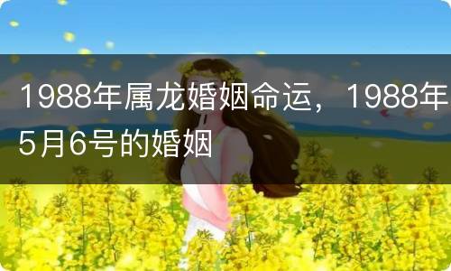 1988年属龙婚姻命运，1988年5月6号的婚姻