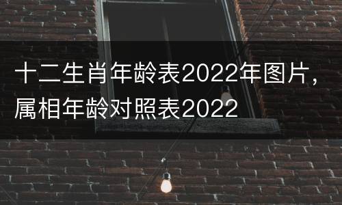 十二生肖年龄表2022年图片，属相年龄对照表2022