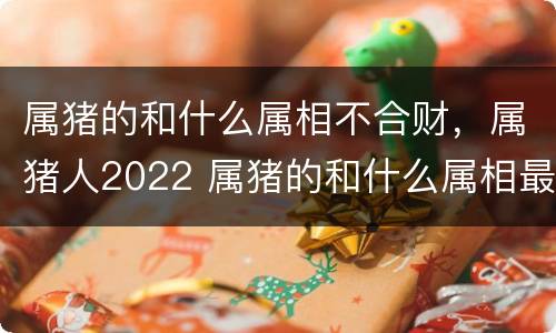 属猪的和什么属相不合财，属猪人2022 属猪的和什么属相最不合财
