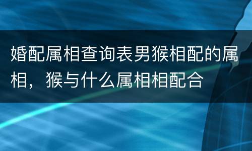 婚配属相查询表男猴相配的属相，猴与什么属相相配合