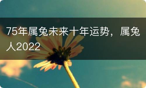 75年属兔未来十年运势，属兔人2022