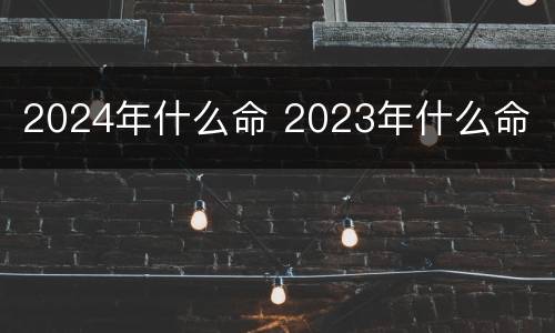 2024年什么命 2023年什么命