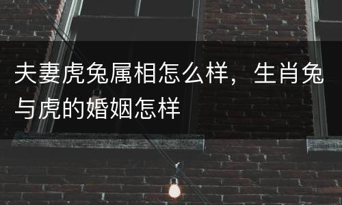 夫妻虎兔属相怎么样，生肖兔与虎的婚姻怎样