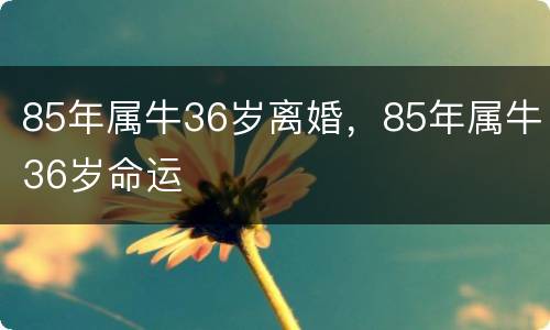 85年属牛36岁离婚，85年属牛36岁命运