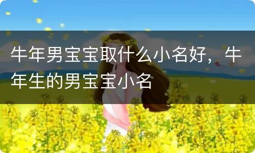 牛年男宝宝取什么小名好，牛年生的男宝宝小名