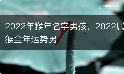 2022年猴年名字男孩，2022属猴全年运势男