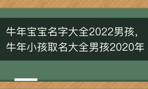 牛年宝宝名字大全2022男孩，牛年小孩取名大全男孩2020年