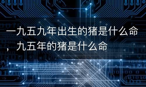 一九五九年出生的猪是什么命，九五年的猪是什么命