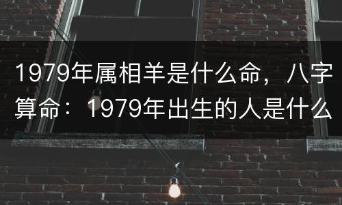 1979年属相羊是什么命，八字算命：1979年出生的人是什么