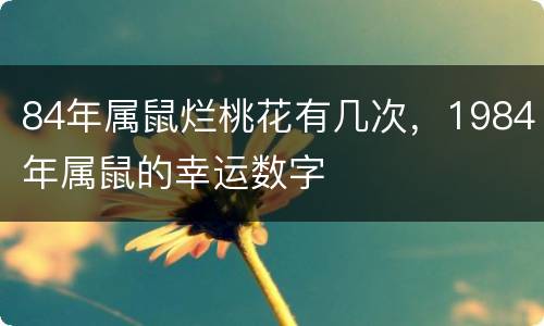 84年属鼠烂桃花有几次，1984年属鼠的幸运数字