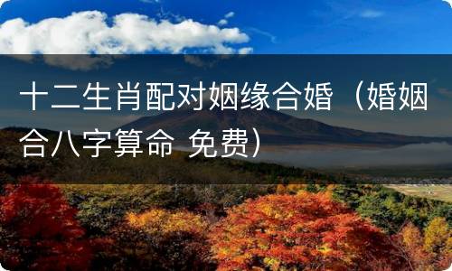 十二生肖配对姻缘合婚（婚姻合八字算命 免费）