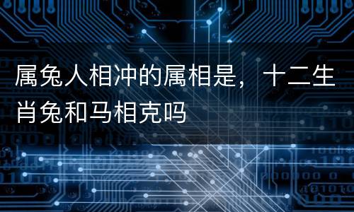 属兔人相冲的属相是，十二生肖兔和马相克吗
