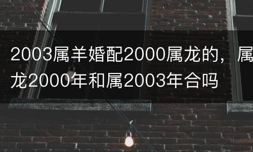 2003属羊婚配2000属龙的，属龙2000年和属2003年合吗