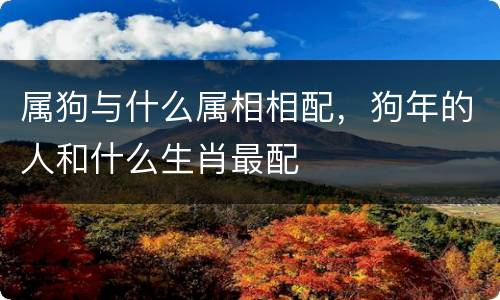 属狗与什么属相相配，狗年的人和什么生肖最配