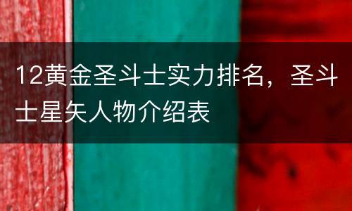 12黄金圣斗士实力排名，圣斗士星矢人物介绍表