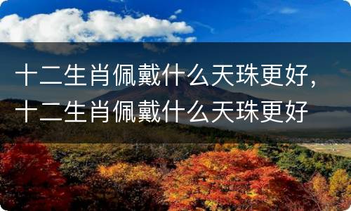十二生肖佩戴什么天珠更好，十二生肖佩戴什么天珠更好