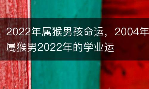 2022年属猴男孩命运，2004年属猴男2022年的学业运