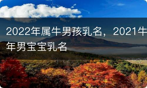 2022年属牛男孩乳名，2021牛年男宝宝乳名