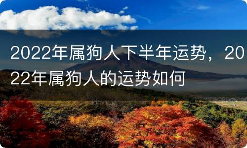 2022年属狗人下半年运势，2022年属狗人的运势如何