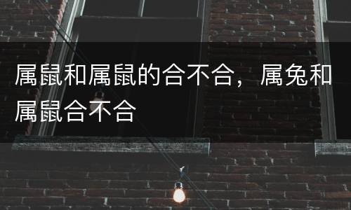 属鼠和属鼠的合不合，属兔和属鼠合不合