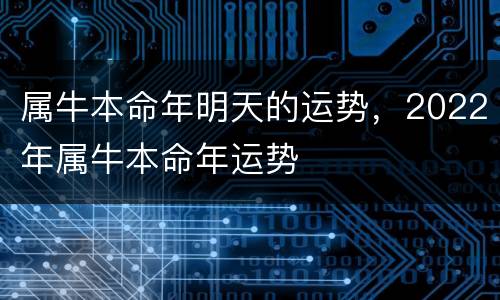 属牛本命年明天的运势，2022年属牛本命年运势