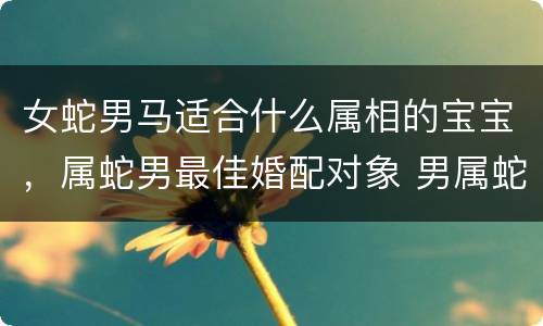 女蛇男马适合什么属相的宝宝，属蛇男最佳婚配对象 男属蛇婚配最
