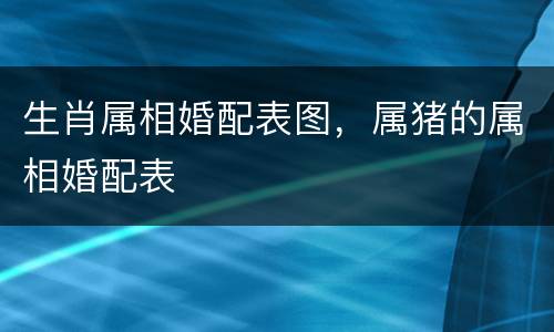 生肖属相婚配表图，属猪的属相婚配表