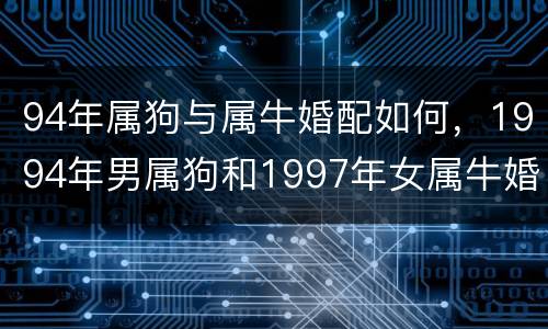 94年属狗与属牛婚配如何，1994年男属狗和1997年女属牛婚配合适吗