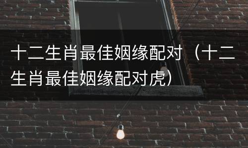 十二生肖最佳姻缘配对（十二生肖最佳姻缘配对虎）