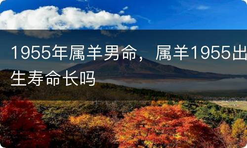 1955年属羊男命，属羊1955出生寿命长吗