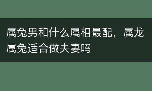 属兔男和什么属相最配，属龙属兔适合做夫妻吗