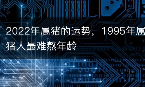 2022年属猪的运势，1995年属猪人最难熬年龄