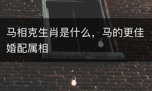 马相克生肖是什么，马的更佳婚配属相
