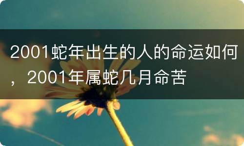 2001蛇年出生的人的命运如何，2001年属蛇几月命苦