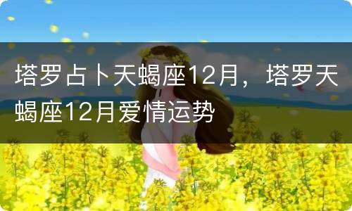 塔罗占卜天蝎座12月，塔罗天蝎座12月爱情运势