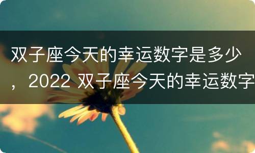 双子座今天的幸运数字是多少，2022 双子座今天的幸运数字是多少