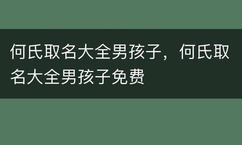 何氏取名大全男孩子，何氏取名大全男孩子免费
