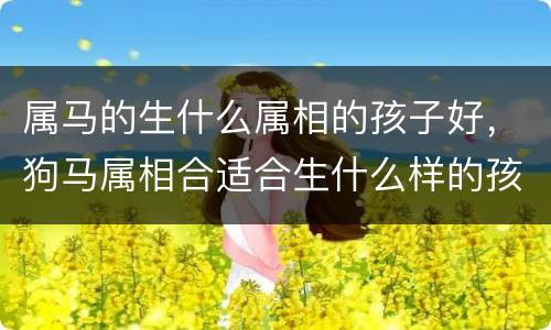 属马的生什么属相的孩子好，狗马属相合适合生什么样的孩子，属羊