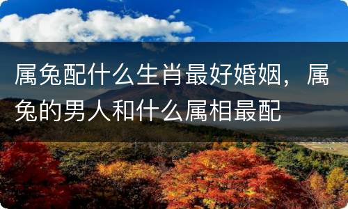 属兔配什么生肖最好婚姻，属兔的男人和什么属相最配