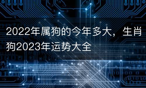 2022年属狗的今年多大，生肖狗2023年运势大全