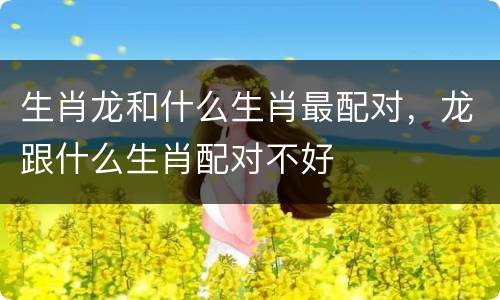 生肖龙和什么生肖最配对，龙跟什么生肖配对不好