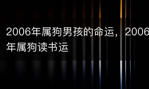 2006年属狗男孩的命运，2006年属狗读书运